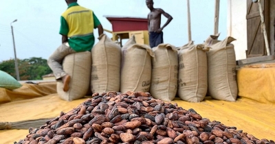 Matières premières : La Côte d&#039;Ivoire et le Ghana suspendent leurs ventes de cacao