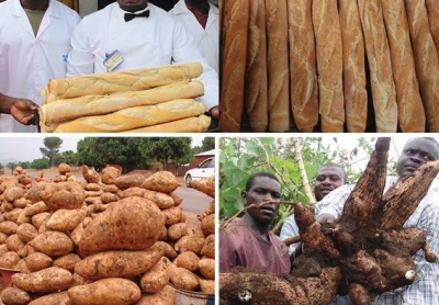Transformation agroalimentaire : Comment enrichir le pain de blé aux farines locales panifiables ?