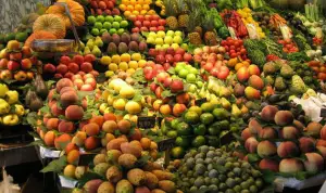 Les investissements de la compagnie fruitière de Marseille se densifies