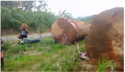 Accident mortel sur la route d’Ambam : Un grumier dont les chaînes ont lâché, tue une famille entière