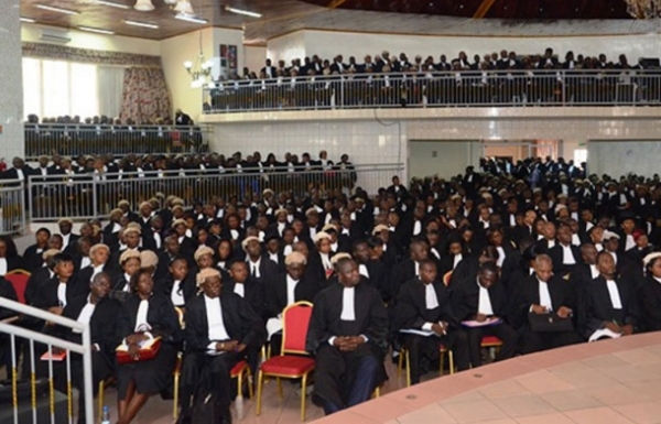 Barreau du Cameroun : 874 avocats stagiaires en mode rattrapage