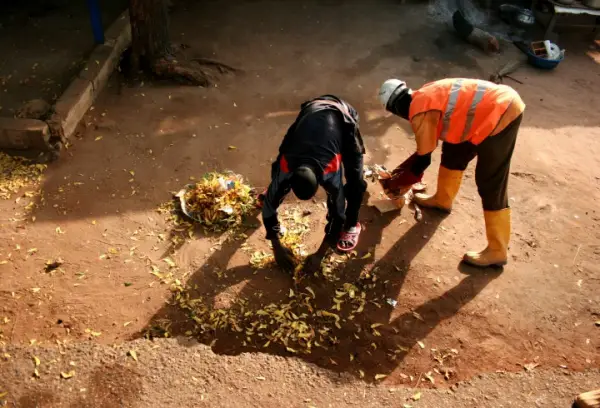 Ramassage des ordures: la Communauté urbaine de Garoua lance un avis de sollicitation à manifestation d&#039;intérêt national