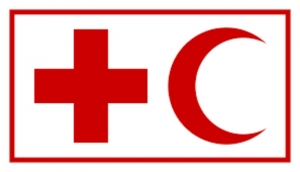 Lutte contre les épidémies et pandémies : des volontaires de la Croix-Rouge se capacitent à Garoua
