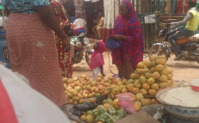 Garoua : les mangues abondent les marchés en cette période