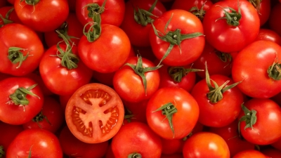 Echo des marchés: La tomate est rare à Bertoua (Est)