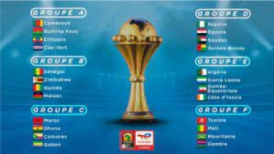 Coupe d’Afrique des Nations: La réponse des Camerounais à Rfi et à la Fifa