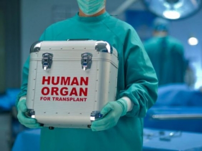 Cameroun : Transplantation d’organe, la loi se prépare