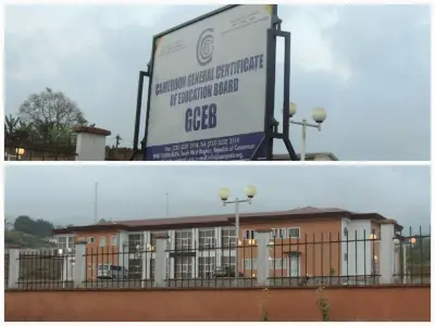 Cameroon: GCE Board startled by cases of suicide recorded due to failure in exam