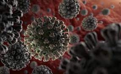 Coronavirus : Le gouvernement veut élargir la 3e dose de vaccin à tous les adultes