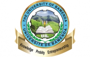 Le directeur des affaires administratives de l’Université de Bamenda tué par des sécessionnistes