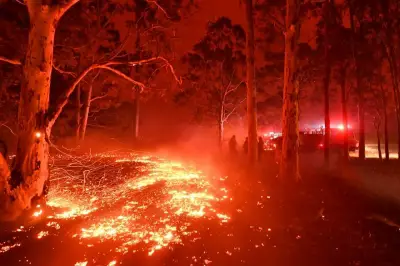 Incendie en Australie : Le traumatisme des populations se poursuit