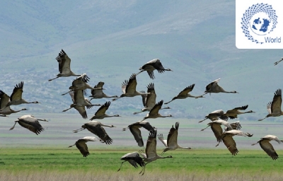 Assemblée nationale : Les Députés appelés à examiner le texte sur la conservation des oiseaux d’eau migrateurs d’Afrique