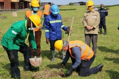 Protection de l’Environnement : 150 arbres plantés par Camrail à Bessengue (Douala)
