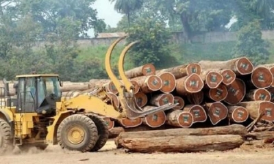 Agenda : Les exploitants forestiers attendus à la foire du bois au Gabon