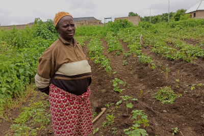 Nigeria : Comment les agricultrices d&#039;Iseyin font face au changement climatique et au resserrement du crédit