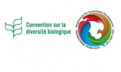 Conférence des Parties de la Convention sur la Diversité Biologique: Le Cameroun a pris part à la rencontre