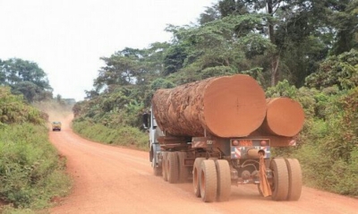Maintenance des ponts-bascules : Le Cameroun envisage d’instaurer une redevance de 15 000 Fcfa par m3 de bois