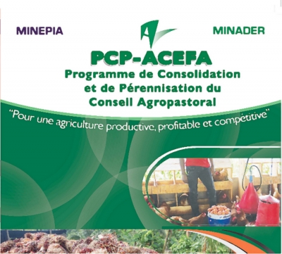 Agriculture: Le programme Acefa accompagne les producteurs dans la région de l’Adamaoua
