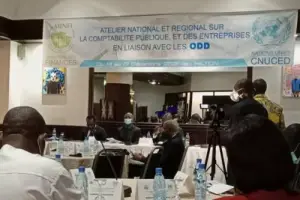 Objectifs de développement durable : Le Cameroun déterminé à mettre en lumière les éléments de ses engagements