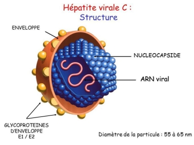 Minsanté : Le traitement de l’Hépatite Virale C passe de 100.000 FCFA à 25.000 FCFA