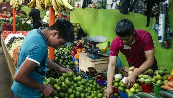 Sécurité alimentaire : La Fao dénonce le gaspillage alimentaire dans le monde