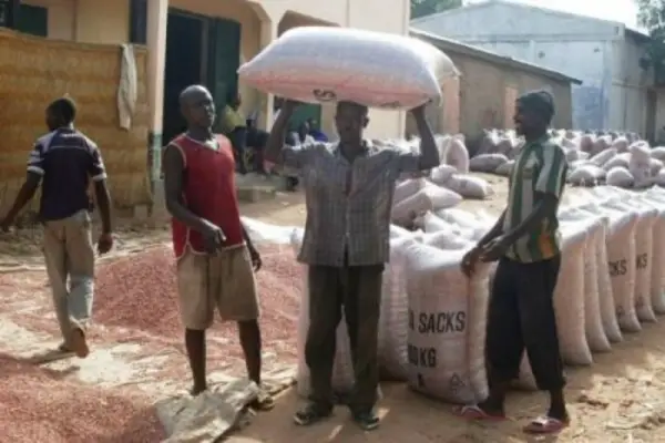 Garoua : Augmentation record des prix d&#039;arachides dans les marchés