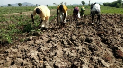 Développement économique : Le Cameroun envisage la création d’une agence nationale du Conseil agropastoral