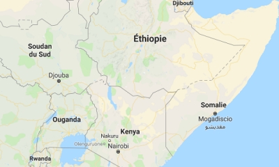 Politique : Plus de lien diplomatique entre la Somalie et la Guinée