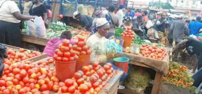 Marché Essos : Des Bayam-Sellam dénichent un trésor dans la vente des tomates