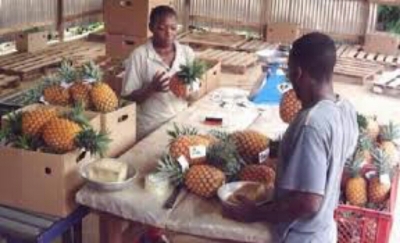 Cameroun-Impact du coronavirus : 61% des PME affectées &quot;très négativement&quot; selon le Gicam
