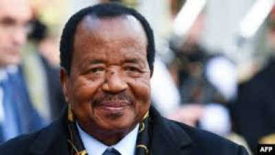 Attaques contre le Chef de l’Etat à Genève : Des camerounais promettent le même traitement à Kamto
