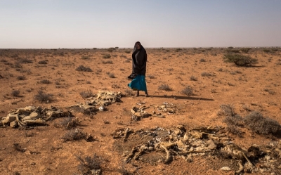 Somalie : Il faut une aide de 710 millions de dollars pour prévenir une crise humanitaire due à la sécheresse