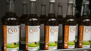 Lutte contre le Coronavirus au Cameroun : Le Covid-organic intéresse le Ministre de la Santé