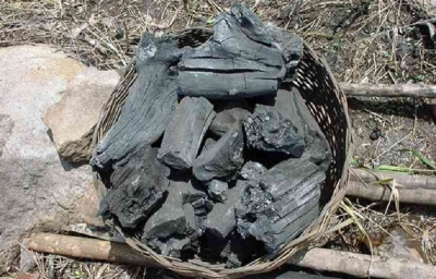 La vente du charbon de bois constitue un véritable serpent de mer dans la région du Nord