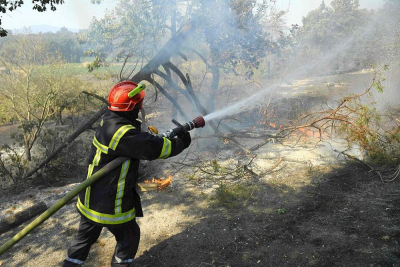 Incendie dans le Var : Déjà 6.000 hectares parcourus dans un incendie d’une rare violence