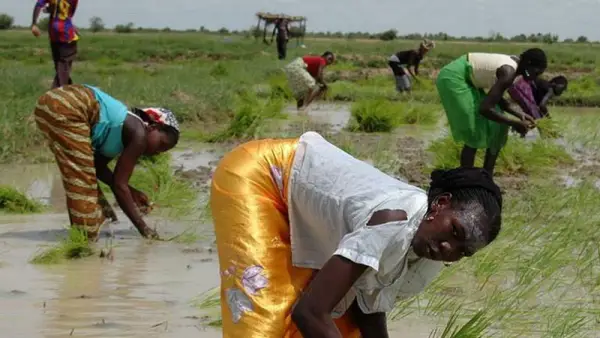 Entreprises: 1 milliard de FCFA pour relever la Semry