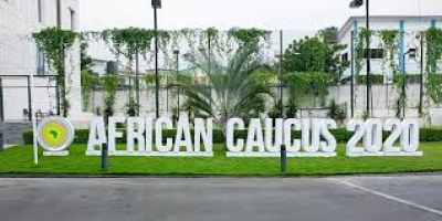 Caucus 2020 : Les Gouverneurs des pays Africains militent pour une plus grande participation