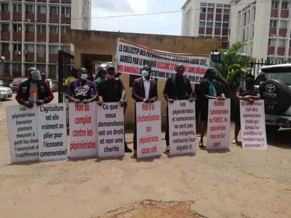 Grève du collectif des pépiniéristes et semenciers devant les bureaux du Minader à Yaoundé