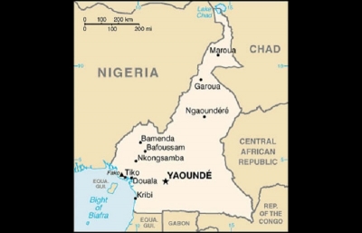 Economie : La croissance du Cameroun pourrait atteindre 4,2 % en 2019