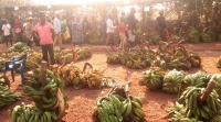 Bafoussam : Le comice agropastoral se tient du 19 au 21 décembre 2019