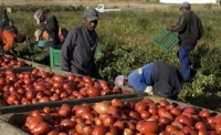 Coopération : Les chinois vont installer à Yaoundé une usine de montage de machines agricoles