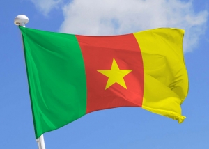 Lutte contre le tribalisme au Cameroun: voici ce que les hommes politiques proposent