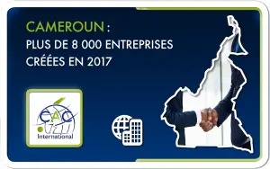 Recensement : Le Cameroun compte près de 210 000 entreprises et établissements