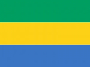 Coopération : Le Gabon s&#039;inspire de l&#039;expertise camerounaise en matière de Pêche et aquaculture