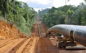 Le droit de transit du Pipeline Tchad-Cameroun a rapporté 30 milliards de FCFA à l’Etat en 2018