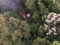 Cameroun : Crash d&#039;un avion dans une forêt près de Nanga Eboko