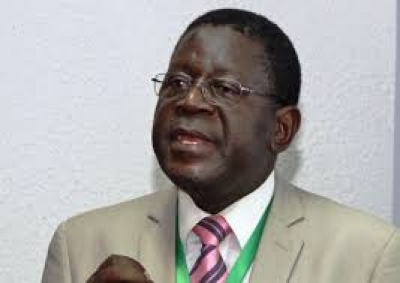Cameroun/David Abouem A Tchoyi: «La décentralisation mène plus rapidement à l&#039;émergence»