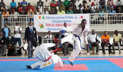 Championnats d&#039;Afrique de Karaté : Le Cameroun remporte 9 médailles
