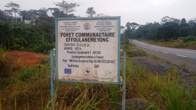 Forêt communautaire d&#039;Effoulanemeyong : plan d&#039;action 2019 élaboré