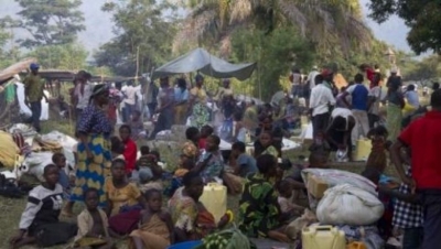 Accompagnement des réfugiés: Le Haut Commissariat des Nations Unies pour les Réfugiés, le Ministère de l’Agriculture et du Développement Rural, Plan Cameroun et le Crédit du Sahel main dans la main, pour accompagner les réfugiés.